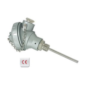 Excel RTD Assembly with Screw/ Flange Connection